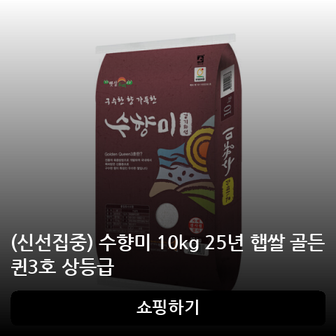 메인 상단배너 2