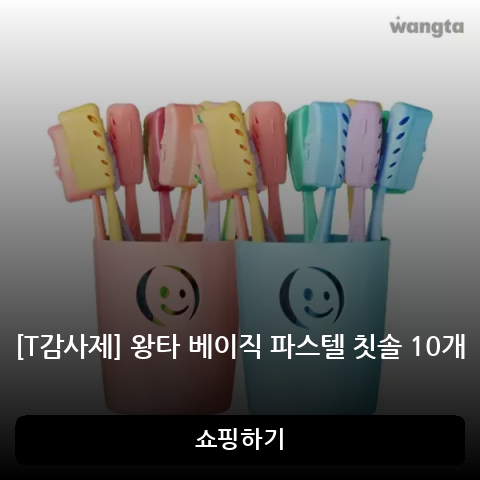 왕타 베이직 파스텔 칫솔