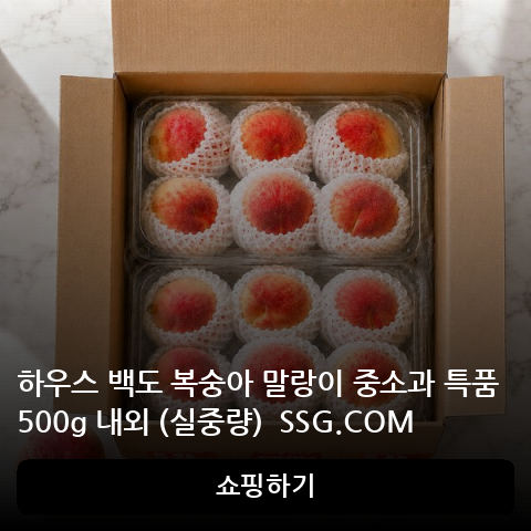 하우스 백도 복숭아 말랑이 중소과 특품