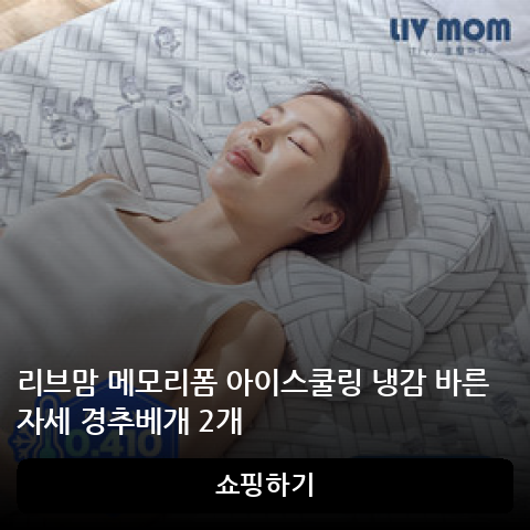 리브맘 메모리폼 아이스쿨링 냉감 바른자세 경추베개