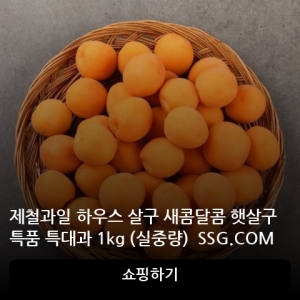 새콤달콤 햇살구 특품 특대과